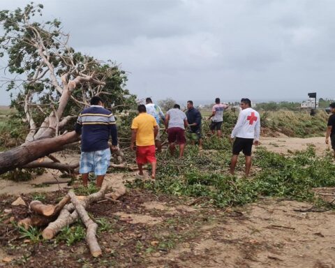 Personas y miembros de la Cruz Roja retiran árboles caídos de la carretera debido a las afectaciones por el paso del ciclón Agatha, en la comunidad de Agua blanca en el estado mexicano de Oaxaca. Foto: Daniel Ricardez / EFE.