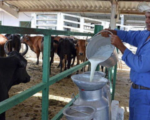 Cuba, Leche, Carne de res,