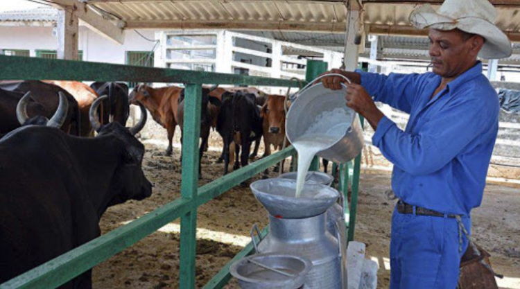 Cuba, Leche, Carne de res,