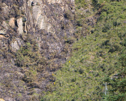 Cusco: forest fire in the Llamakancha sector was controlled, says the mayor of Machu Picchu (VIDEO)