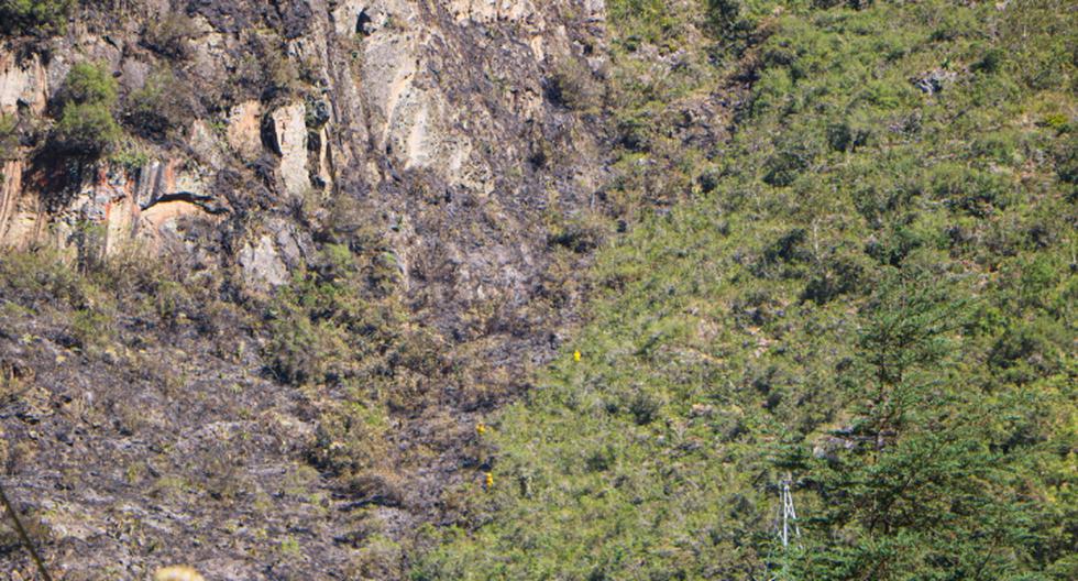 Cusco: forest fire in the Llamakancha sector was controlled, says the mayor of Machu Picchu (VIDEO)