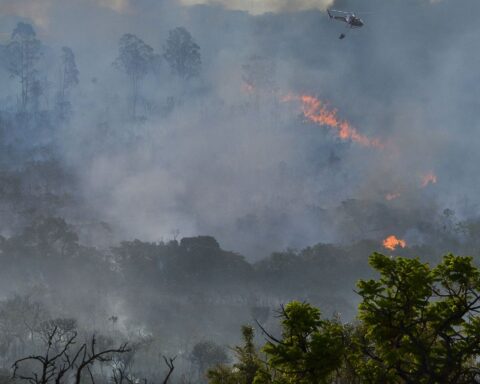 Decree suspends fires throughout the national territory