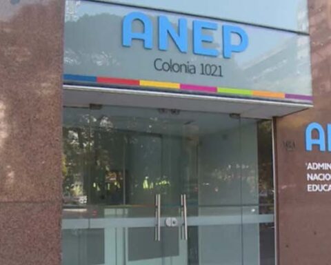 Deputy Schipani requests reports from ANEP for not paying contributions to the BPS during 2010-2014