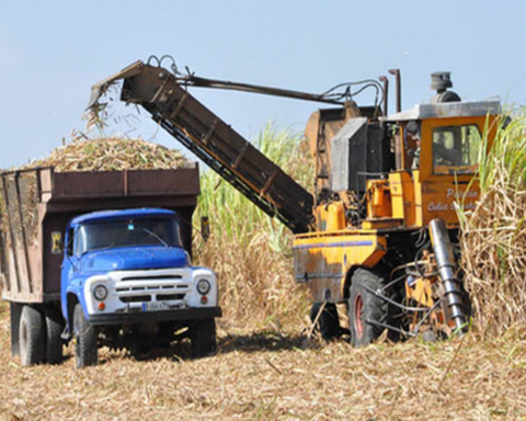 Diaz-Canel calls "save" the sugar sector, which is experiencing its worst moment in Cuba