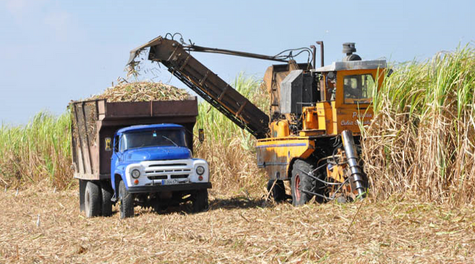 Diaz-Canel calls "save" the sugar sector, which is experiencing its worst moment in Cuba