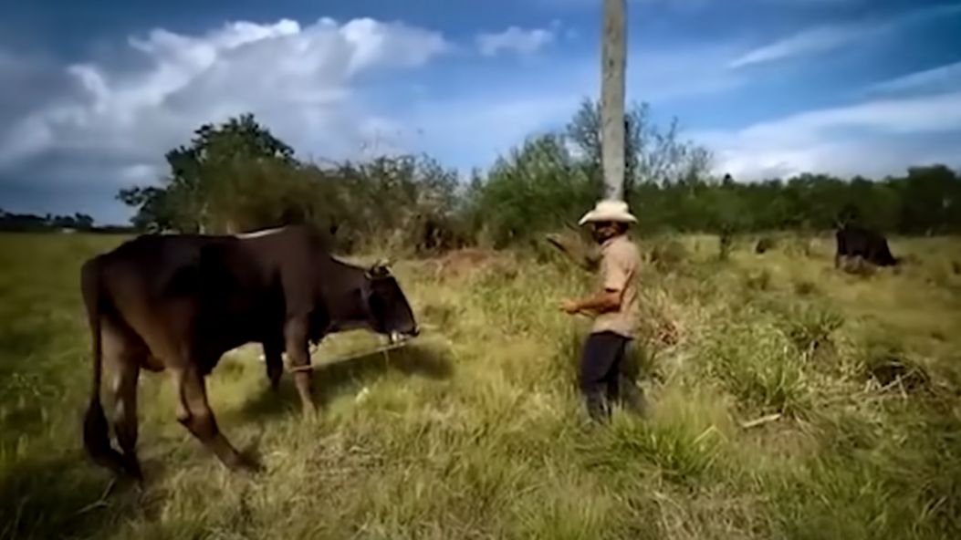 Ni Patria Ni Vida documental cuba