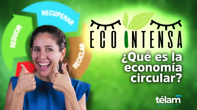 Ecointensa: What is the circular economy?