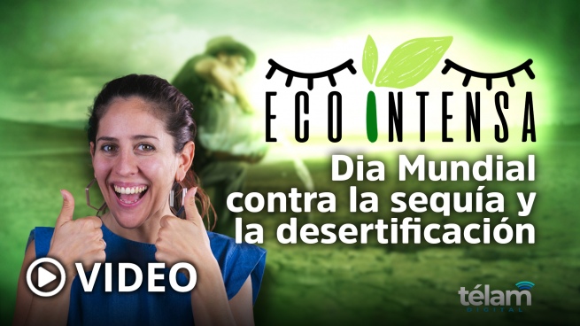 Ecointensa: World Day to Combat Droughts and Desertification