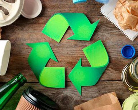 Environment Day: These are elements that you can recycle at home and at work, pay attention