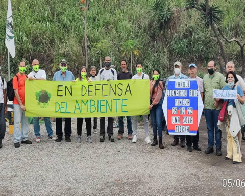 Environmentalists denounce indiscriminate invasion of Caracas hills