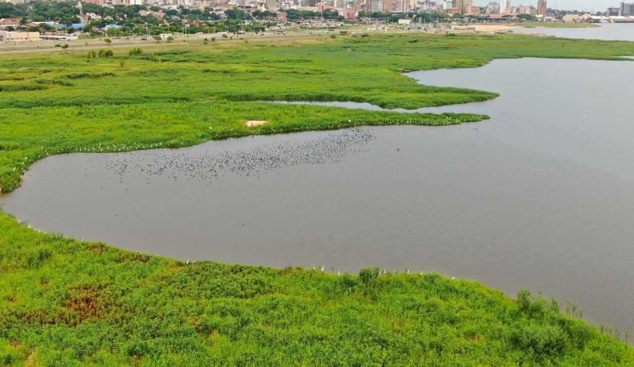 Environmentalists warn ecological crime in Costanera