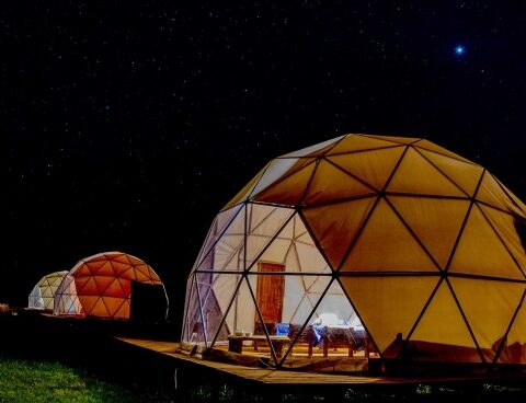 Esteros del Iberá: ecotourism is positioned in the second largest wetland in the world