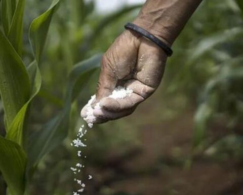 Fertilizers: delivery of urea to Peru would be July 11 at the latest, according to Midagri