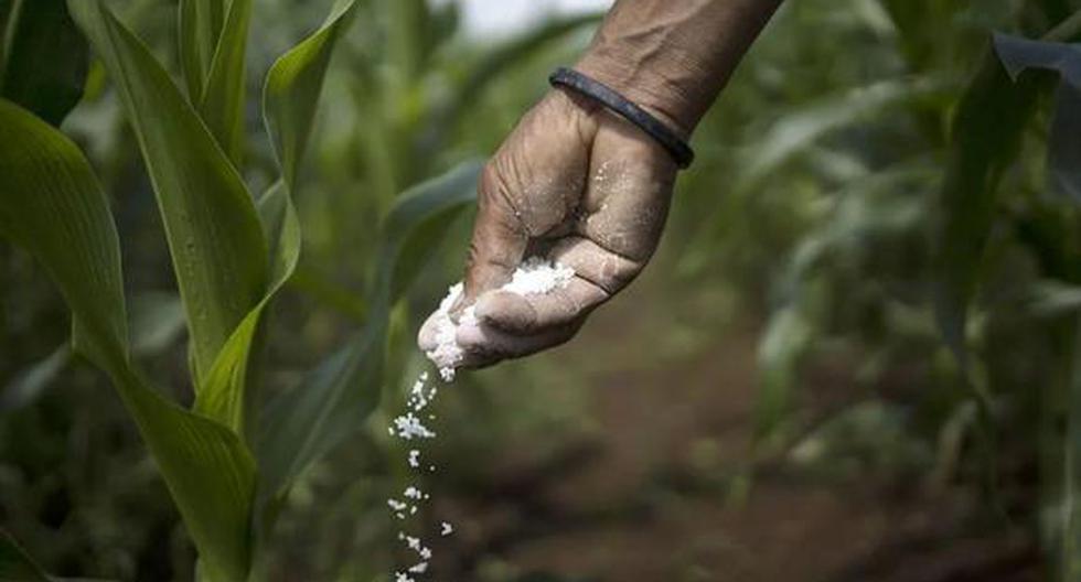Fertilizers: delivery of urea to Peru would be July 11 at the latest, according to Midagri