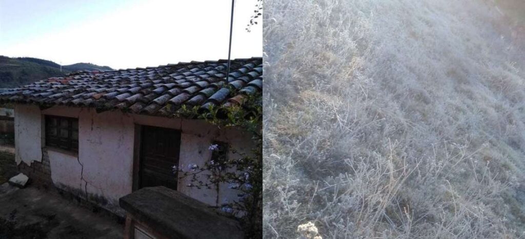 Frosts affected 2,893 hectares in the Valles Cruceños area