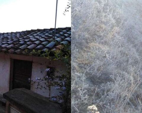Frosts affected 2,893 hectares in the Valles Cruceños area