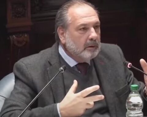 Gandini: What a coincidence that after the referendum there was no more talk of police abuse in this country!