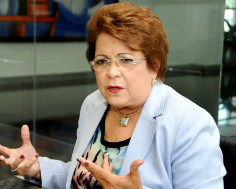 Germán affirms that the assembly "consultation" of the PLD is going well