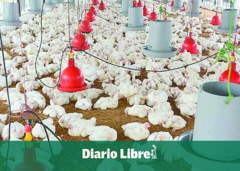 Government already applies zero rate law