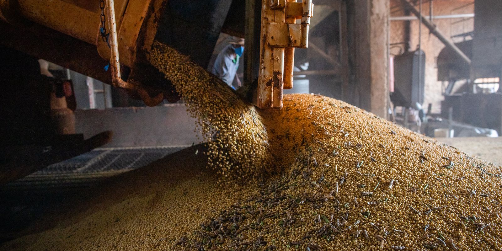Grain harvest should reach 271.3 million tons, estimates Conab