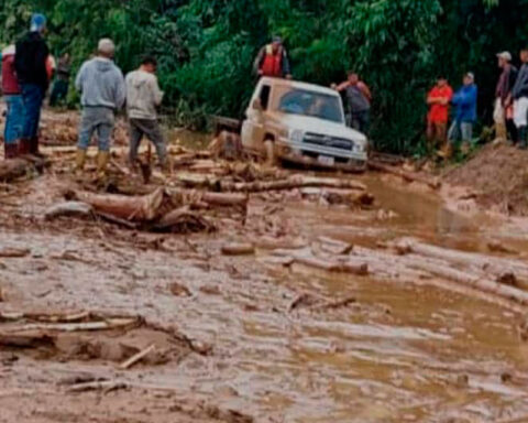 Heavy rains wreak havoc in Mérida: Tovar, the most affected municipality