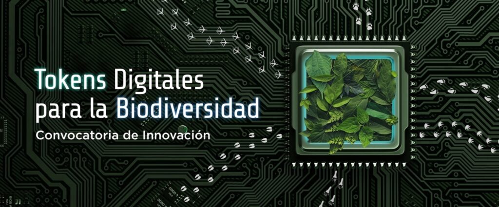 Convocatoria de BID Lab para uso de tokens digitales