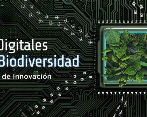 Convocatoria de BID Lab para uso de tokens digitales