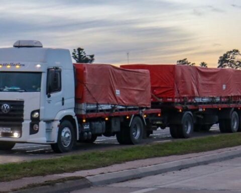 International cargo transport denounces Economy's indifference to the crisis in the sector