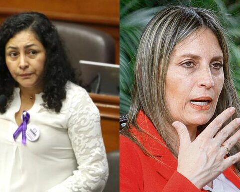 Karol Paredes on María del Carmen Alva: As a bench, Acción Popular is not thinking about her re-election