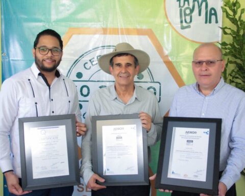 Macadamia La Loma:  Primera empresa dominicana productora de macadamia certificada ISO 22000