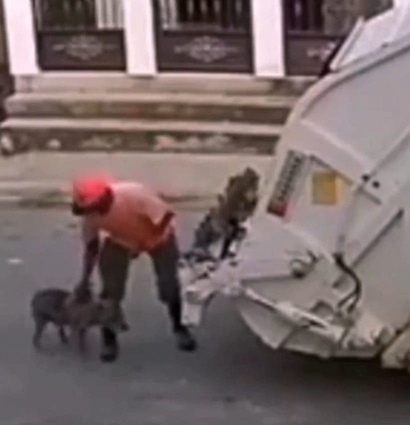 The worker throws a dog into a garbage truck and the Mayor's Office cancels it