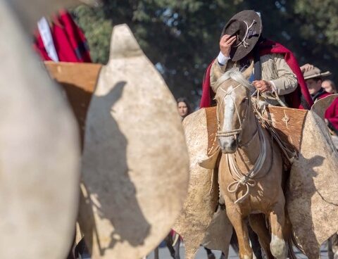 More than 7 thousand gauchos paraded in honor of Güemes, 201 years after his death