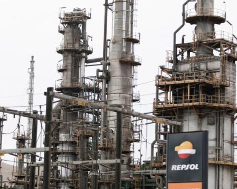 OEFA fines Repsol S/ 460,000 for failing to rescue wildlife from the oil spill