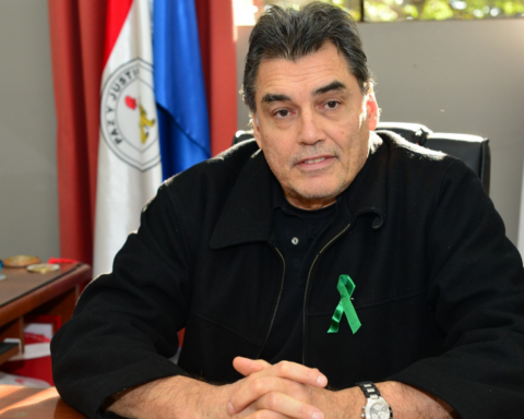 Pecci wants to provide solutions from the Senate