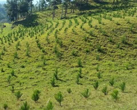 El Plan Sierra, principal proyecto de conservación medioambiental y de producción de agua y bosques del país, realizó su Asamblea de Socios en la cual se destacaron los avances obtenidos por esta organización durante el 2021.