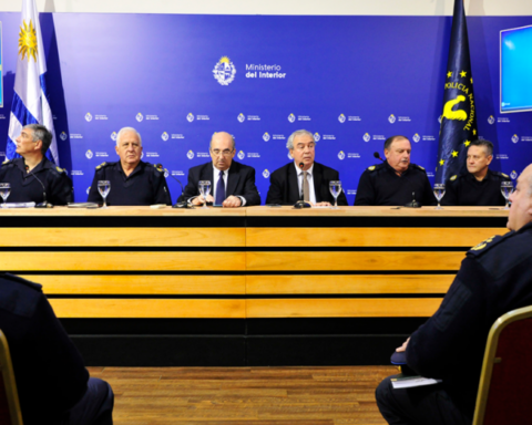 Plan against drug trafficking allowed to dismantle 82 mouths of drug sales