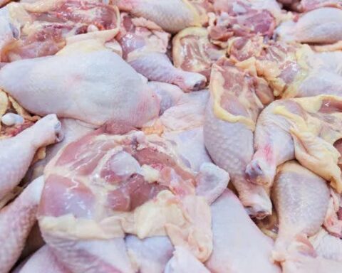 Pro Consumidor tomará acciones para evitar especulación en precio del pollo