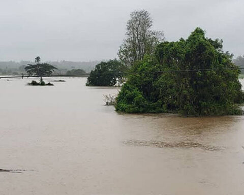 Rains damage 4,889 hectares of crops in Cuba