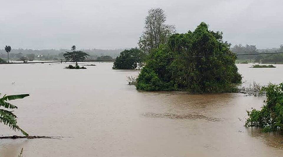 Rains damage 4,889 hectares of crops in Cuba