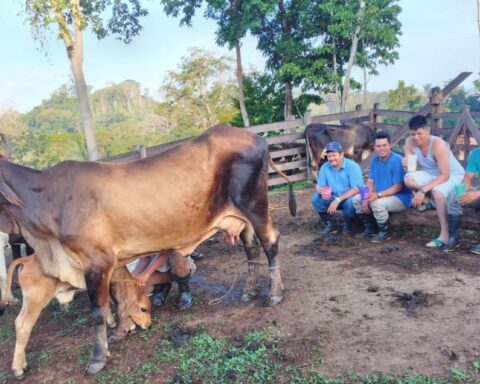 Regime prevents political prisoner Medardo Mairena from saying goodbye to his brother