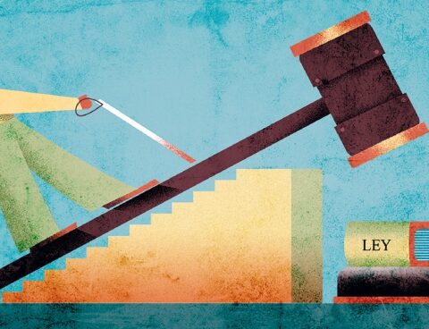 Rights, gender perspective and training, axes for a new disability law