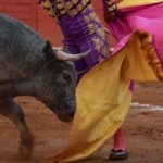 Ruling on the anti-bullfighting law is again on pause in CDMX