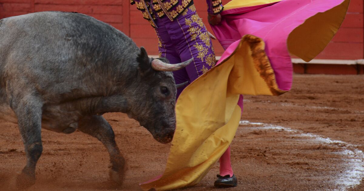 Ruling on the anti-bullfighting law is again on pause in CDMX