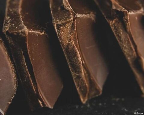 Salmonella outbreak detected in the world's largest chocolate factory