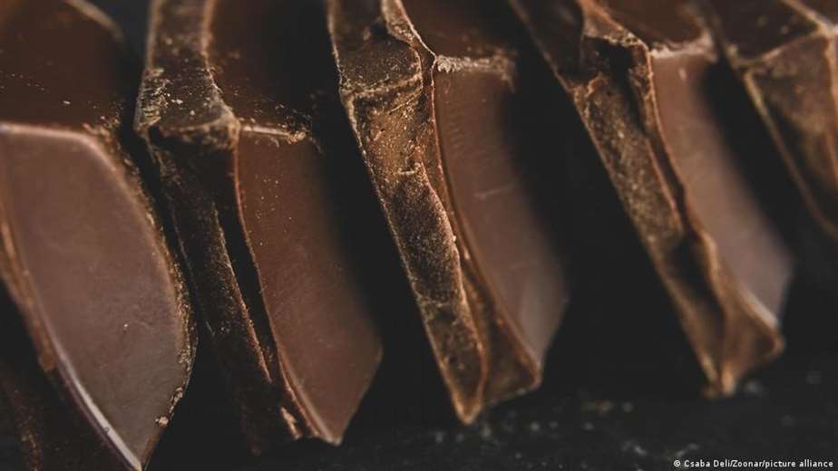 Salmonella outbreak detected in the world's largest chocolate factory