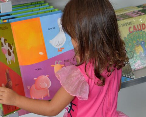 Senate approves bill that includes commitment to literacy and the LDB