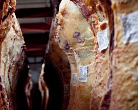 Slowdown in Chinese demand affects Argentine meat exports