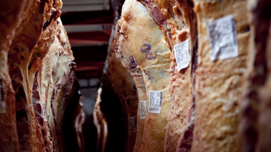 Slowdown in Chinese demand affects Argentine meat exports