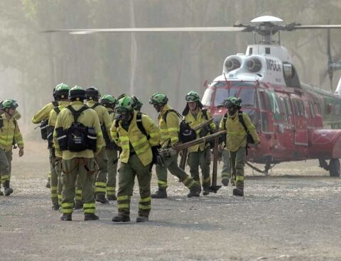 Some 2,000 people were evacuated in southern Spain due to a forest fire