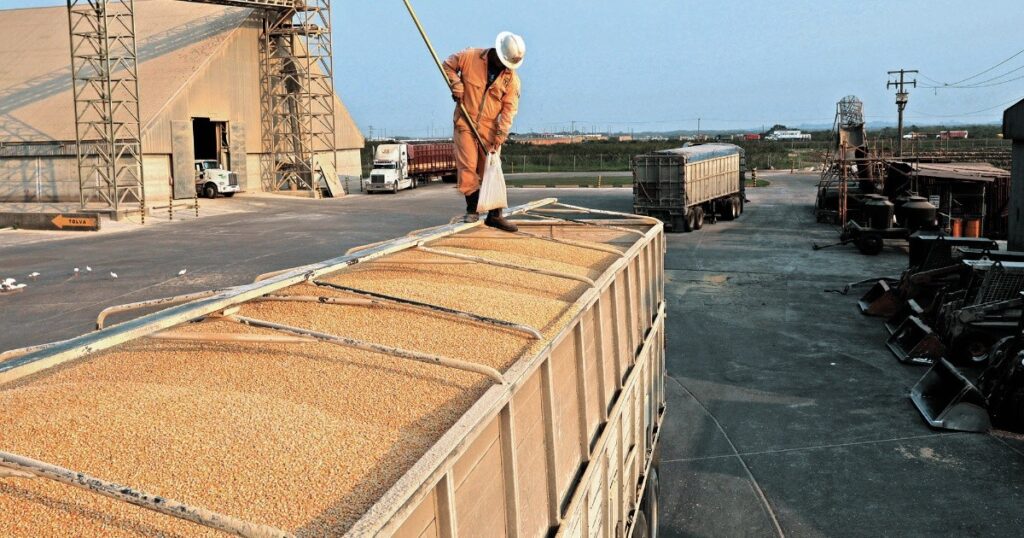 Soybeans, corn and wheat fall up to 40 cents in the Chicago market